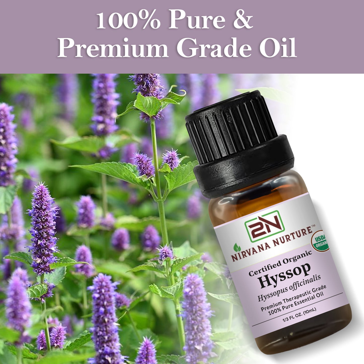 Hyssop Essential Oil USDA Certified Organic, 100% Pure Natural Premium Grade, Undiluted