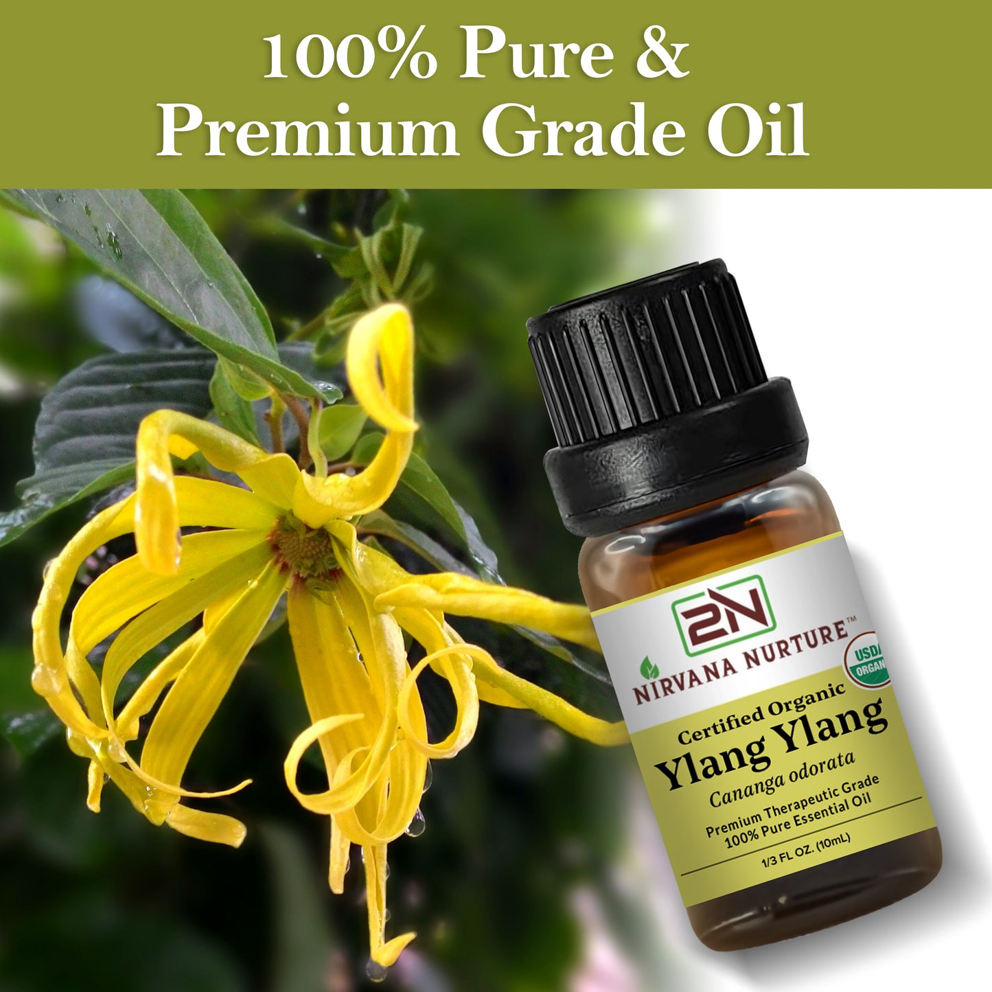 Ylang Ylang Essential Oil USDA Certified Organic, 100% Pure Natural Premium Grade, Undiluted