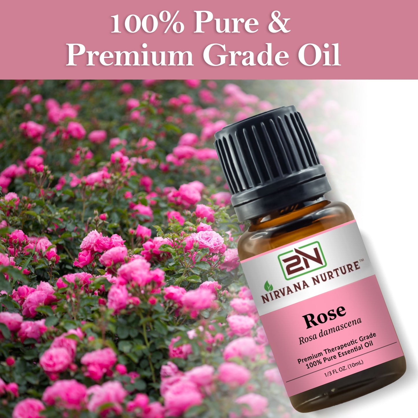 Rose Essential Oil 100% Pure Premium Grade, Undiluted