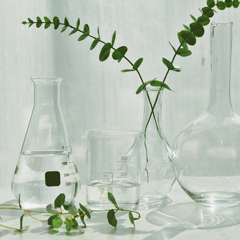 <b>The Preparation, Quality and Testing Process</b>