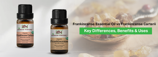 Frankincense Essential Oil vs Frankincense Carterii: Key Differences, Benefits & Uses