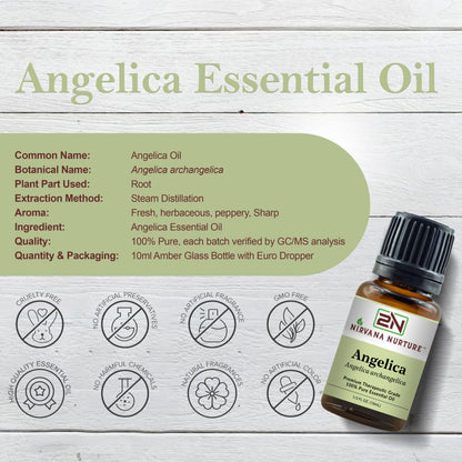 Angelica Essential Oil 100% Pure Premium Grade, Undiluted