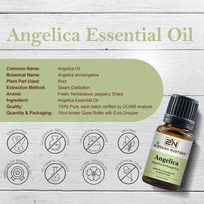 Angelica Essential Oil – 100% Pure, Undiluted | Nirvana Nurture