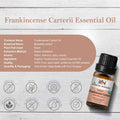 10ml