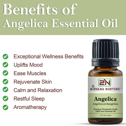 Angelica Essential Oil 100% Pure Premium Grade, Undiluted