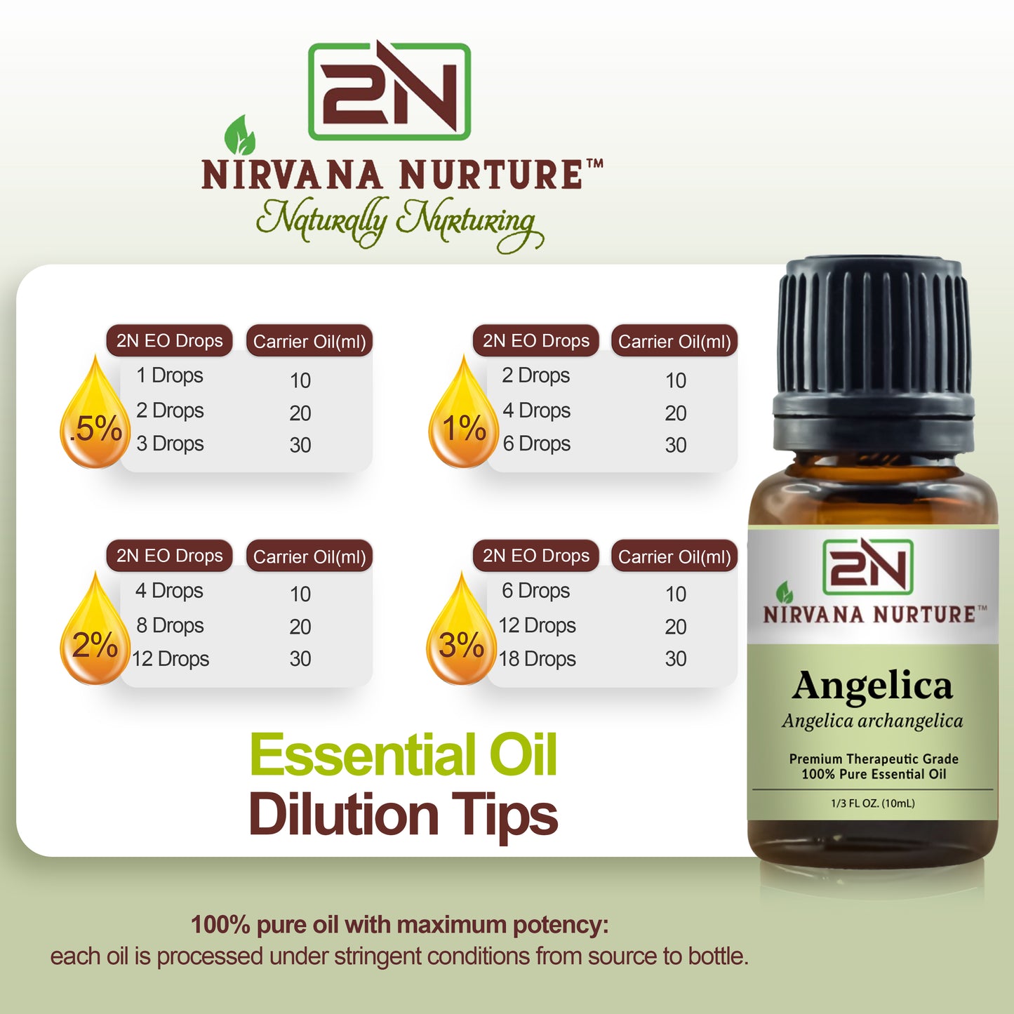 Angelica Essential Oil 100% Pure Premium Grade, Undiluted