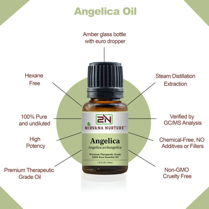 Angelica Essential Oil 100% Pure Premium Grade, Undiluted