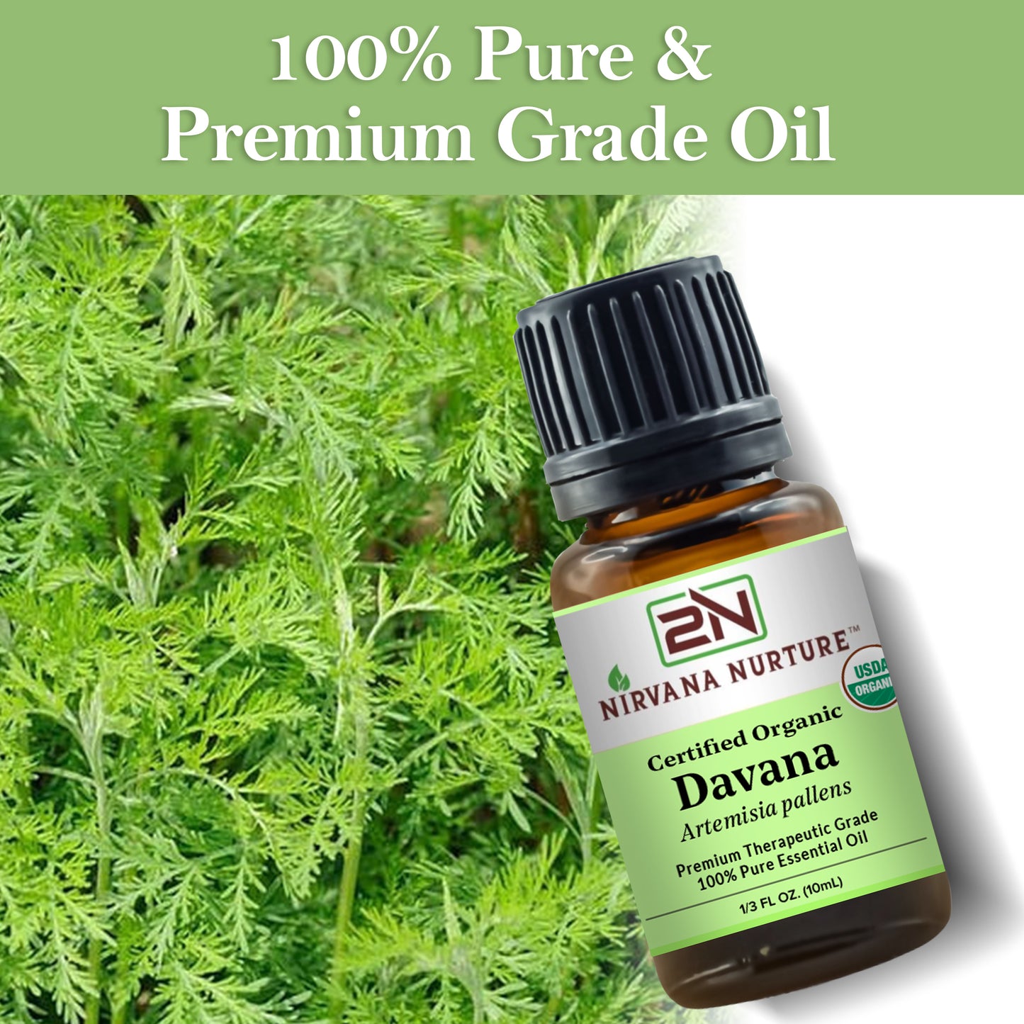 Davana Essential Oil USDA Certified Organic, 100% Pure Natural Premium Grade, Undiluted