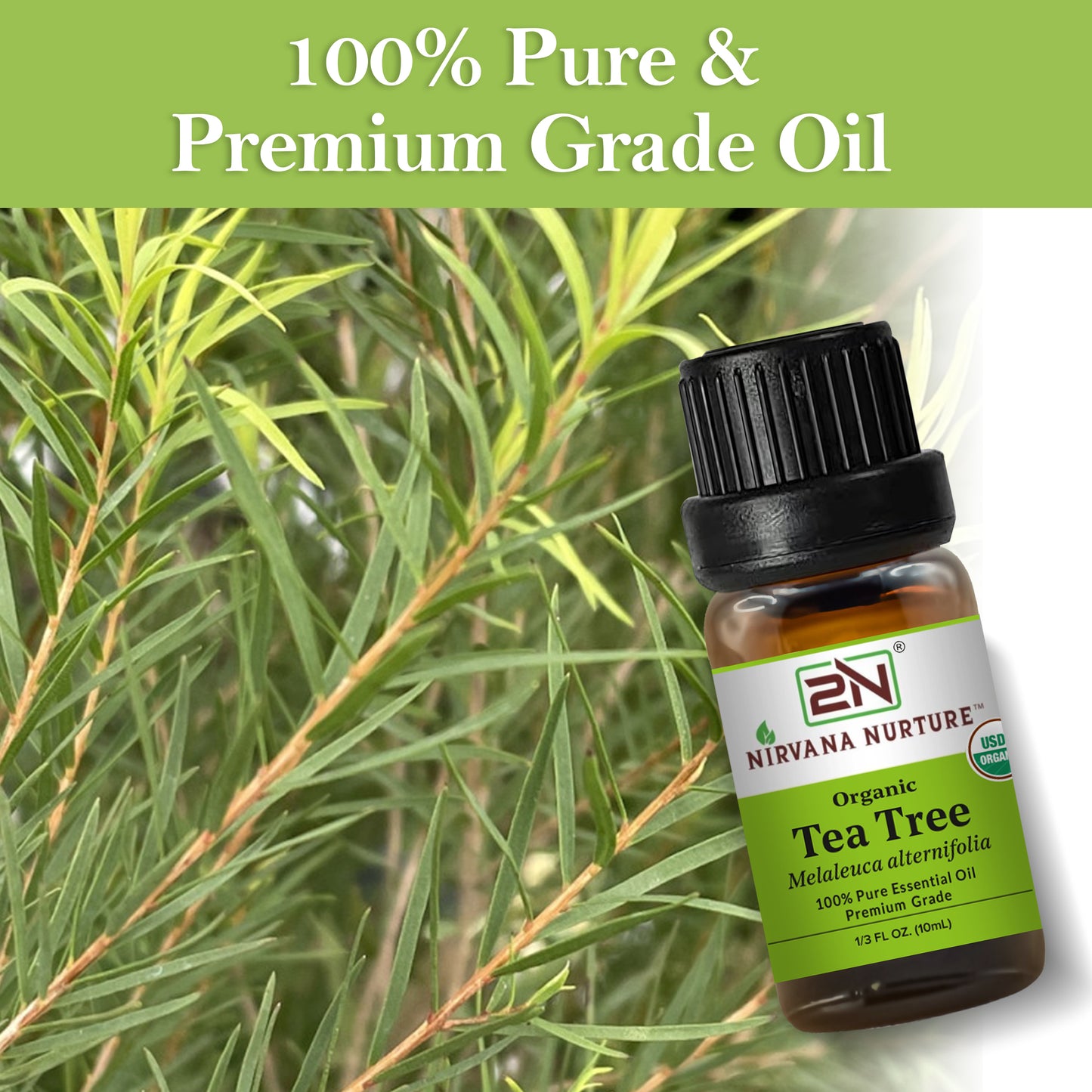Organic Tea Tree Essential Oil – 100% Pure, Undiluted | Nirvana Nurture