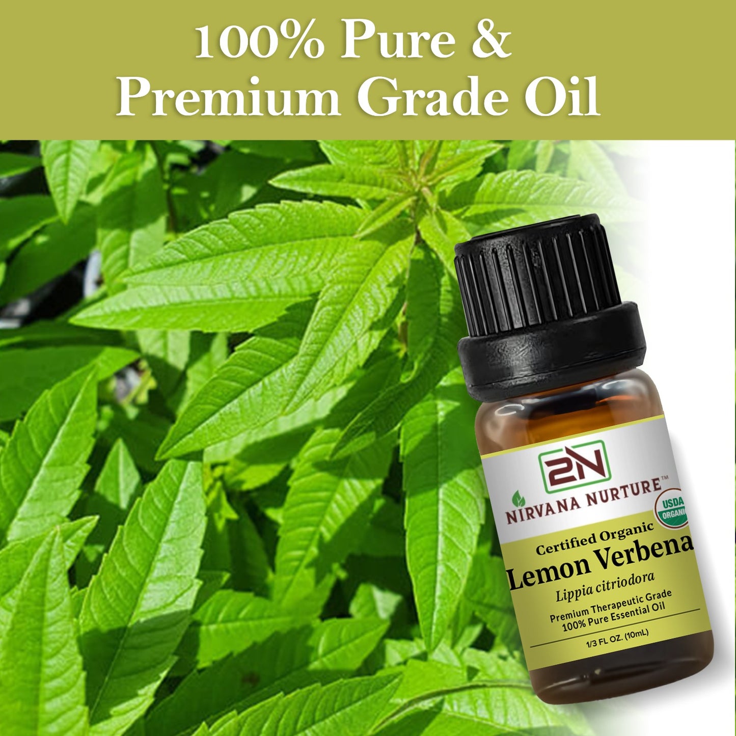 Lemon Verbena Essential Oil USDA Certified Organic, 100% Pure Natural Premium Grade, Undiluted