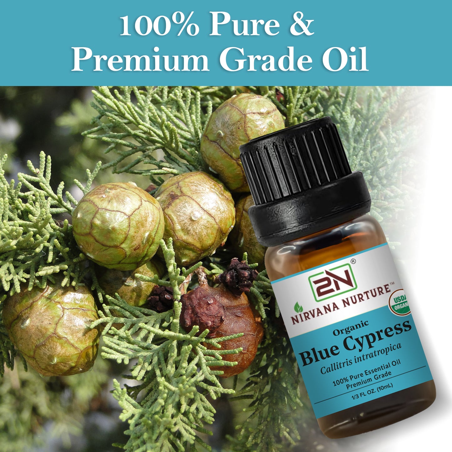 Organic Blue Cypress Essential Oil – 100% Pure, Undiluted | Nirvana Nurture