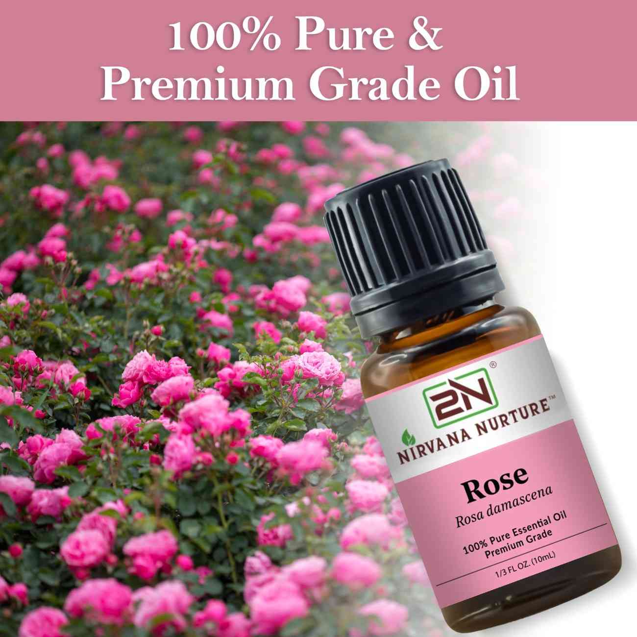 Rose Essential Oil – 100% Pure, Undiluted | Nirvana Nurture