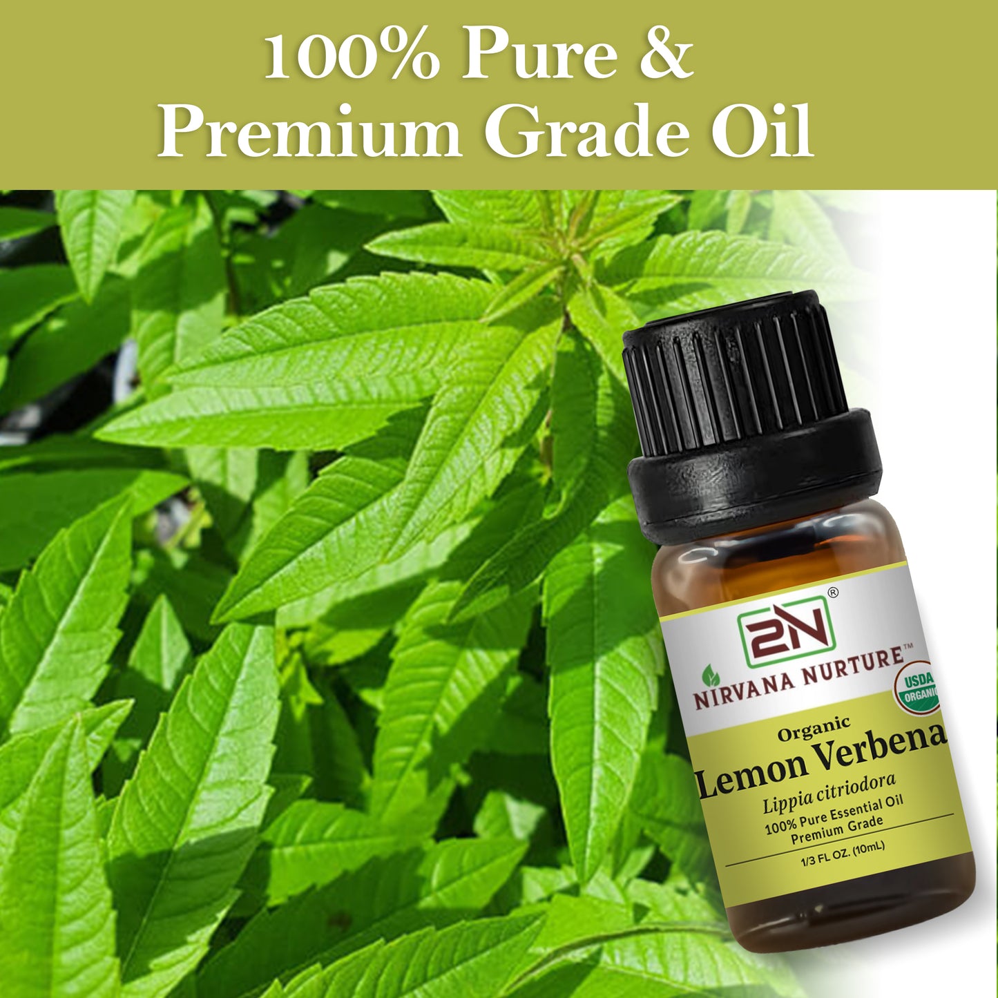 Organic Lemon Verbena Essential Oil – 100% Pure, Undiluted | Nirvana Nurture