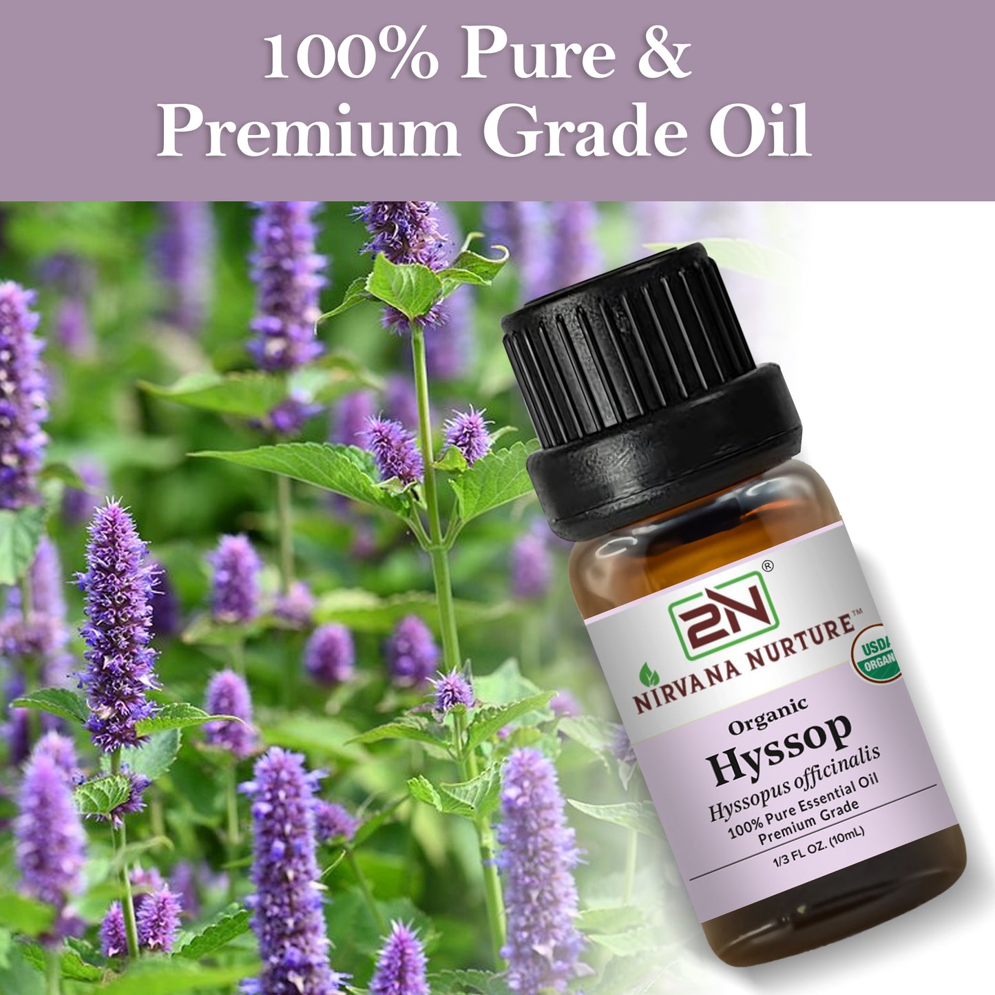 Organic Hyssop Essential Oil – 100% Pure, Undiluted | Nirvana Nurture