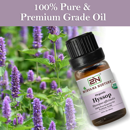 Organic Hyssop Essential Oil – 100% Pure, Undiluted | Nirvana Nurture