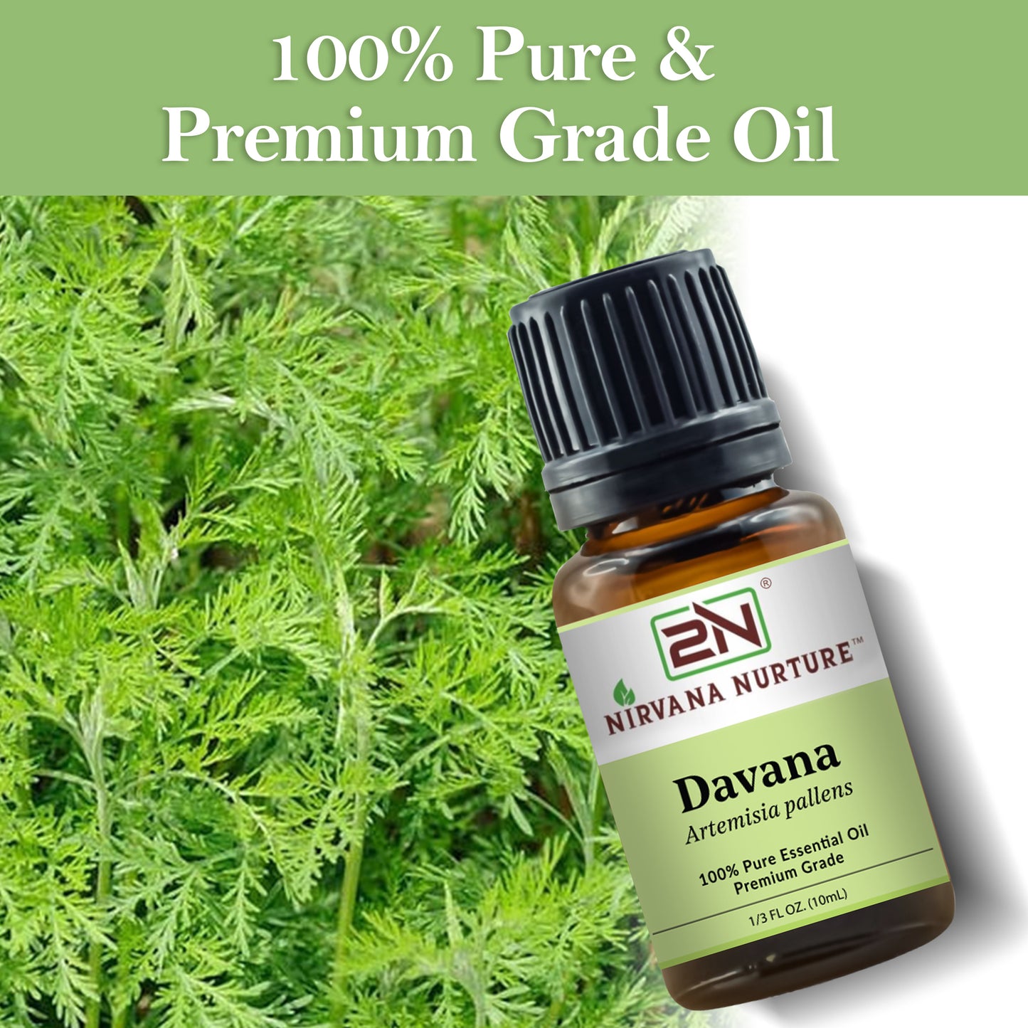 Davana Essential Oil – 100% Pure, Undiluted | Nirvana Nurture