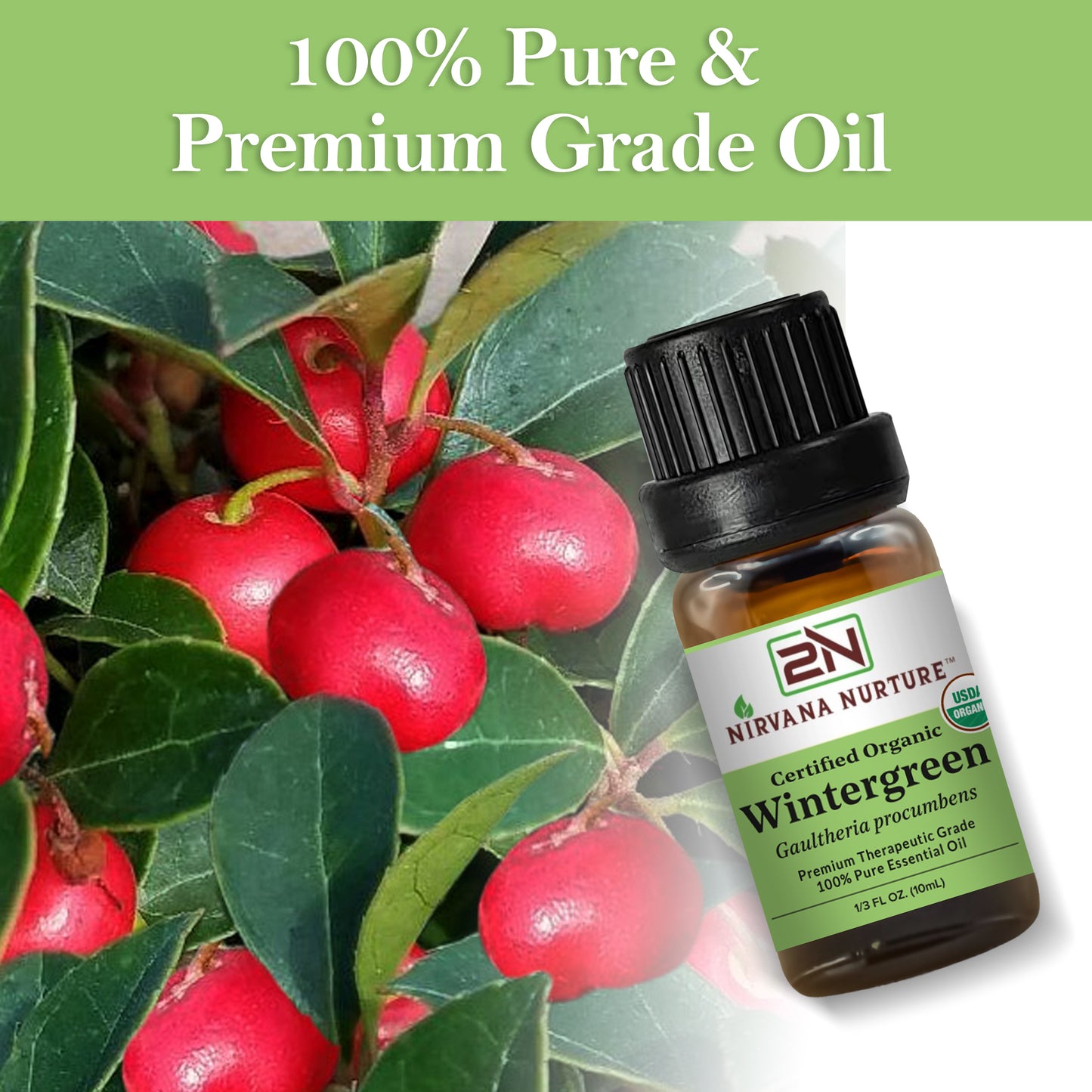 Wintergreen Essential Oil USDA Certified Organic, 100% Pure Natural Premium Grade, Undiluted