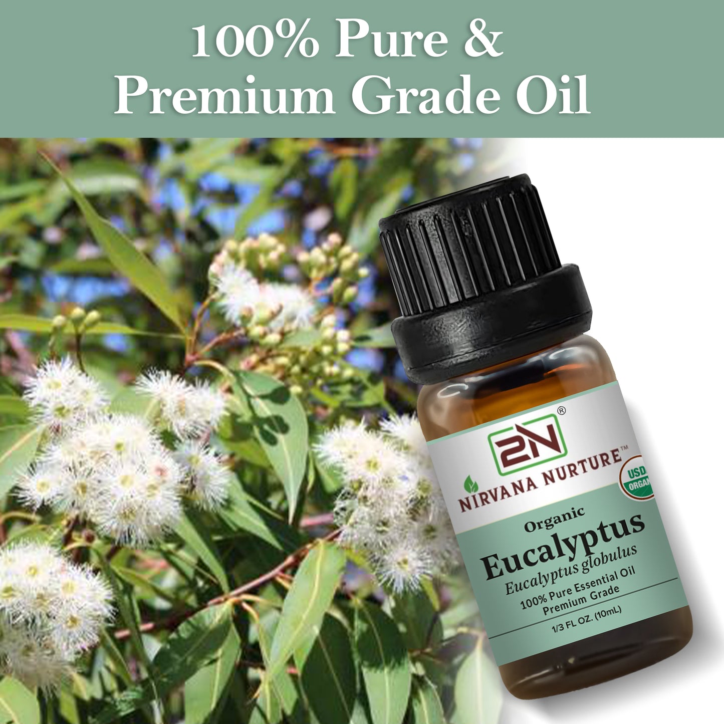 Eucalyptus Essential Oil USDA Certified Organic, 100% Pure Natural Premium Grade, Undiluted