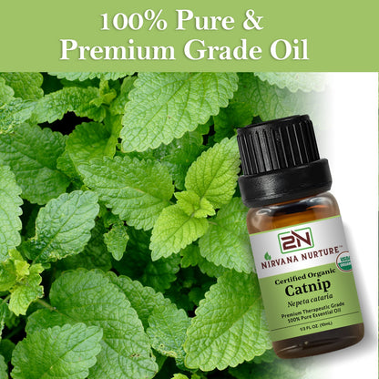 Organic Catnip Essential Oil – 100% Pure, Undiluted | Nirvana Nurture