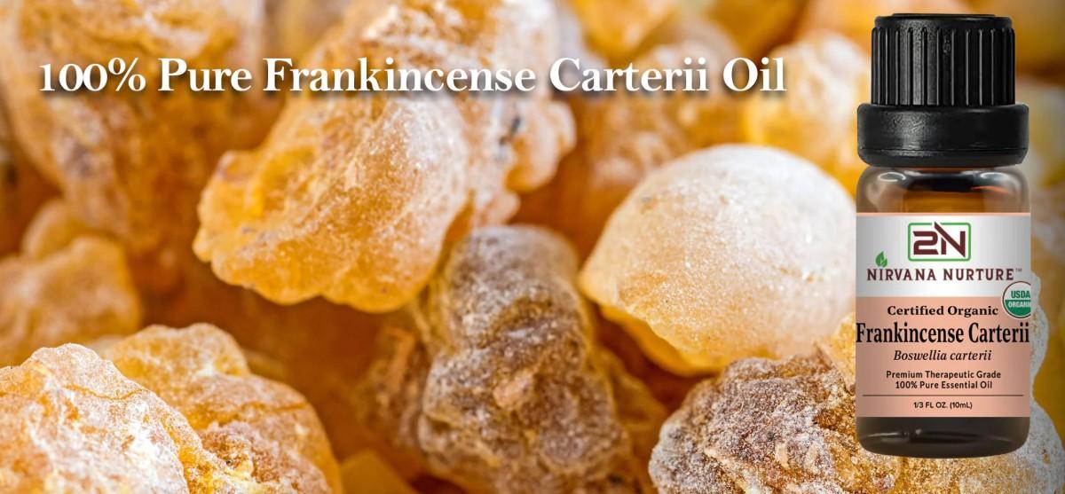 Organic Frankincense Carterii Essential Oil – 100% Pure, Undiluted | Nirvana Nurture