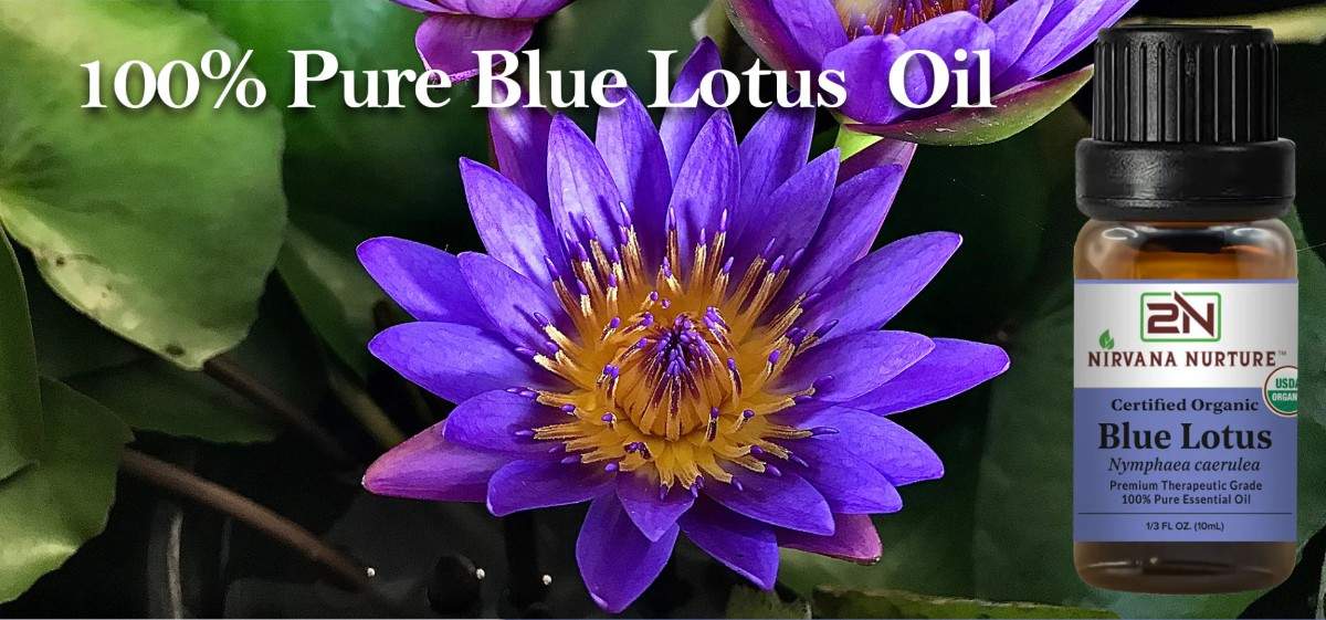 Organic Blue Lotus Essential Oil – 100% Pure, Undiluted | Nirvana Nurture