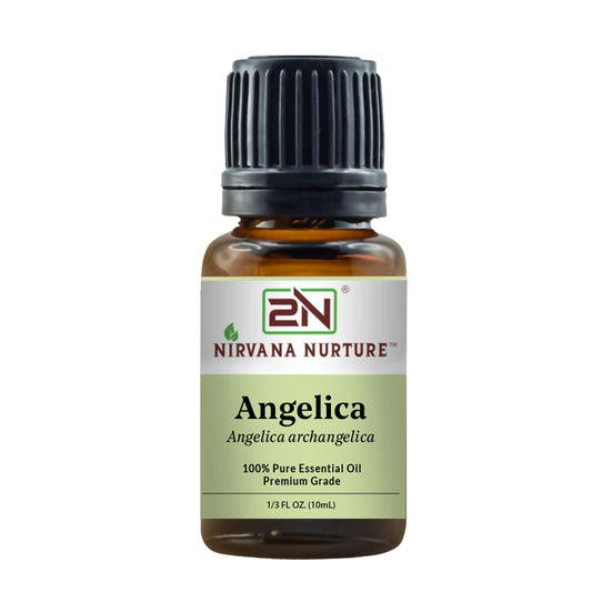 Angelica Essential Oil – 100% Pure, Undiluted | Nirvana Nurture