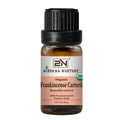 10ml