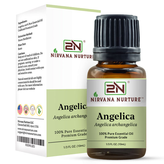 Angelica Essential Oil – 100% Pure, Undiluted | Nirvana Nurture