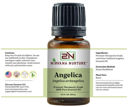 Angelica Essential Oil 100% Pure Premium Grade, Undiluted