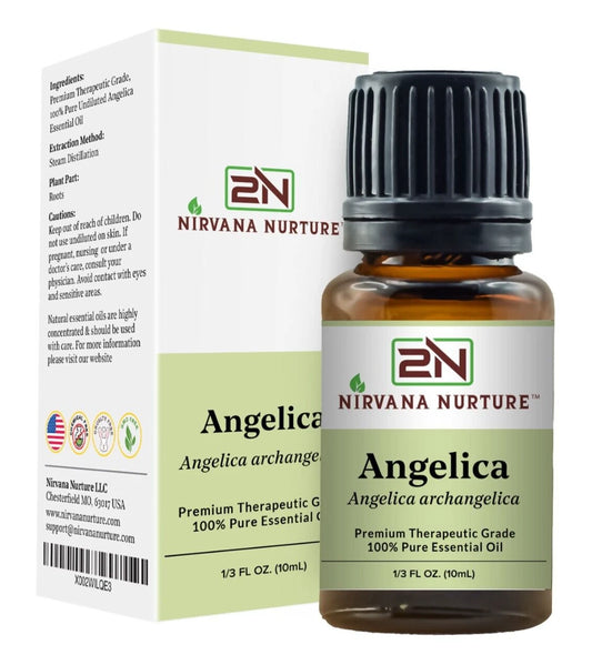 Angelica Essential Oil 100% Pure Premium Grade, Undiluted