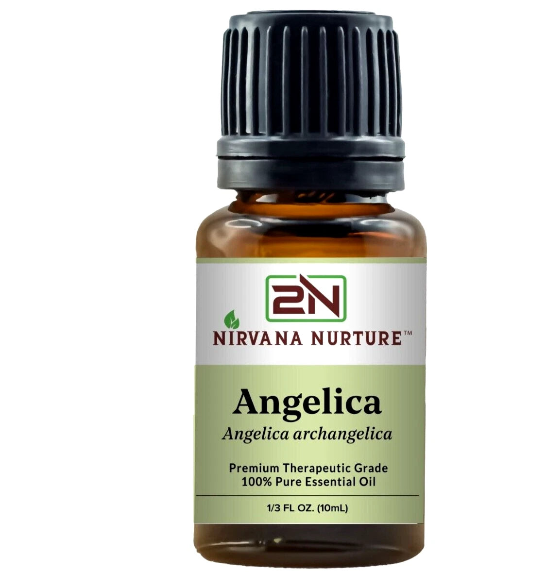 Angelica Essential Oil 100% Pure Premium Grade, Undiluted