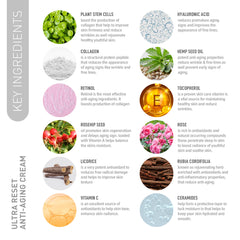 Nirvana Nurture ultra reset anti-aging cream blend of active components, including Gotu Kola Stem Cells, Collagen, Retinol, Hyaluronic acid, Licorice, Rose Oil, Manjistha, and Hemp Seed Oil. This unique blend penetrates deeply into the skin, delivering essential nourishment of the skin. It combats premature aging signs such as wrinkles, fine lines and boosts skin firmness and enhances skin elasticity.