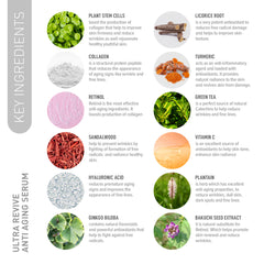 Nirvana Nurture anti aging serum, aging, Reduce Wrinkles, Fine Lines, Promotes Firmness, Tone, Skin Hydration, Lifting, Dark Spot, deep nursing serum, replenish hydration, Moisture serum, reduce aging, combat aging, repair damage skin, Blemish spot, Sagging Skin, Enhance Elasticity, skin supple, repair serum, women aging serum, revive Dull Skin, skincare routine, water serum, Stem Cells, Collagen, Retinol, Sandalwood, Niacinamide, Jasmine, Green tea & Bakuchiol,  ceramide p, Tocopherol, Squalane, Turmeric