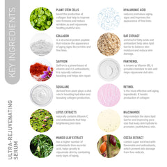 ultra rejuvenating Facial Serum, rejuvenating serum, stem cells serum, facial serum, rejuvenate skin, skin glow booster serum, improve skin tone, face serum, glow dull skin, Rejuvenate Skin Firmness, skin moisture, Brighter Skin, skincare routine, glow skin booster serum, radiance, skin supple, collagen, saffron, Gotu Kola Stem Cells, Squalane, Niacinamide, Hyaluronic Acid, Panthenol, Tocopherol, Cocoa Extract, Oat Extract, skin elasticity, nourishes, hydrates skin, luminous serum, skin plump