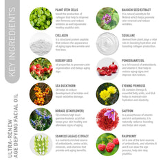 Nirvana Nurture Anti aging face oil, Age defying face oil, aging face oil, Reduce Wrinkles, Fine Lines, Promotes Skin Firmness, Tone, Skin Hydration, Lifting, Dark Spot, combat aging, repair damage skin, diminish Blemish, Sagging Skin, maximum moisture, Enhance Elasticity, skin supple, repair oil, women aging oil, glow Dull Skin, skincare routine, Non Greasy, Luxurious Oil, deep nourish skin, Pomegranate, Seaweed, Bakuchi, Raspberry, Squalane, collagen production, saffron, Gotu Kola Stem Cells, retinol